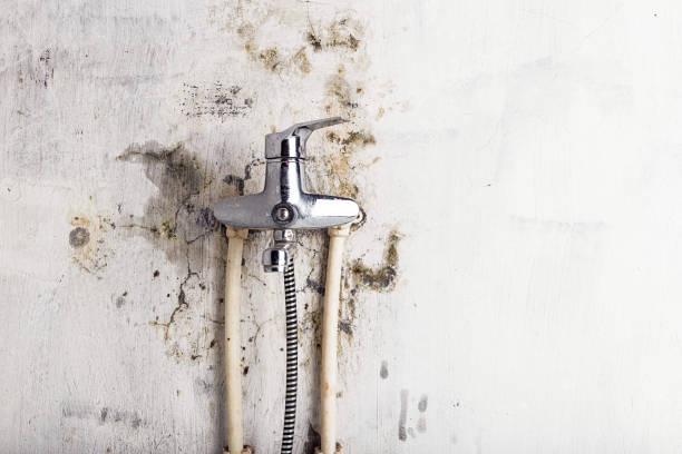 Best Water Damage Restoration  in Prescott, AR
